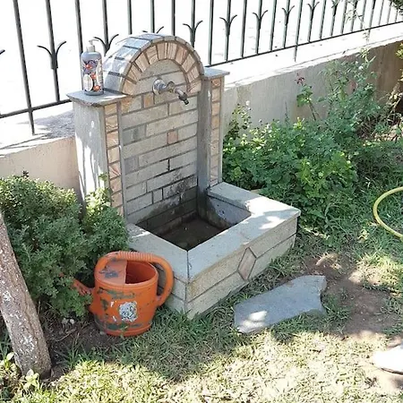 Family Garden