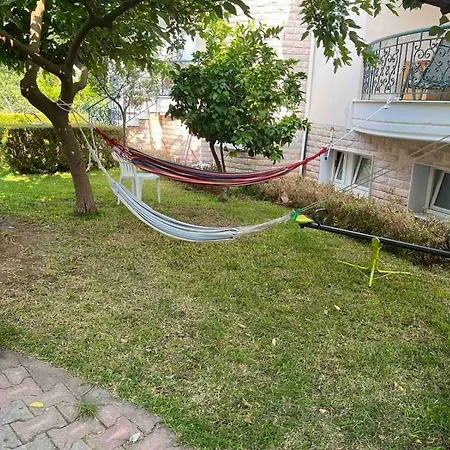 Family Garden *